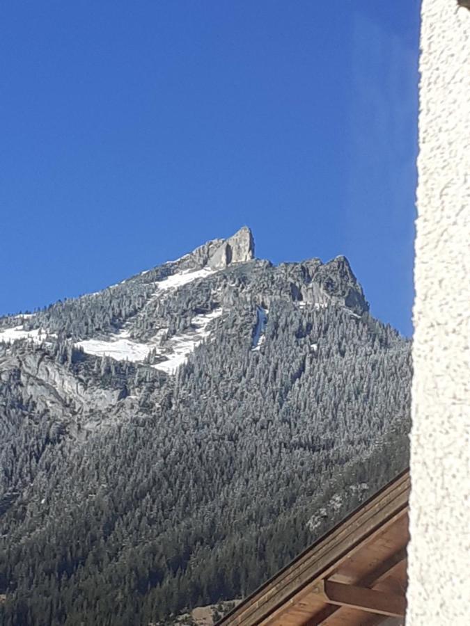 Apartment Adlerblick