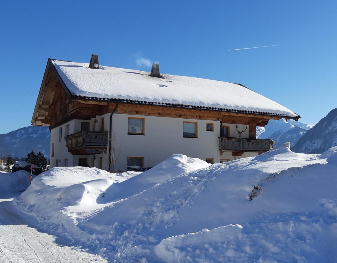 Apartment Adlerblick